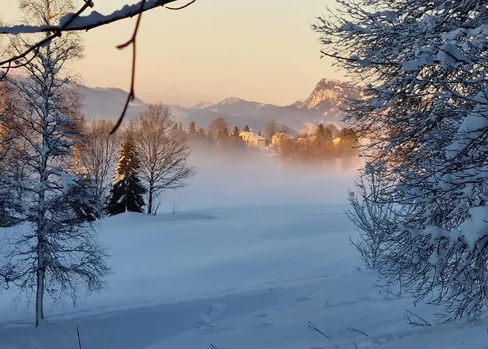 Apartamento Chaleureux Et Confortable Avec Sauna.. Le Chenit